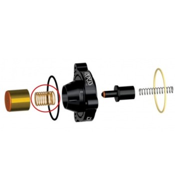 GFB 6117 – DV+ replacement piston spring