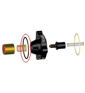 GFB BS030VITON – DV+ replacement O-ring, boost side