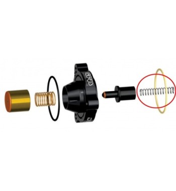 GFB 6119 – DV+ replacement plunger spring