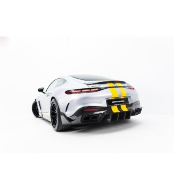 Carbonio preimpregnato-Spoiler per V.2 Mercedes-AMG GT 43 / 55 / 63 / 63 S E Performance C192
