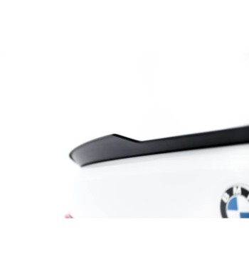 Spoiler extension for BMW 3 Sportline Sedan F30